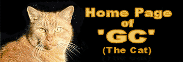 Link to 'GC' - Ginger Cat