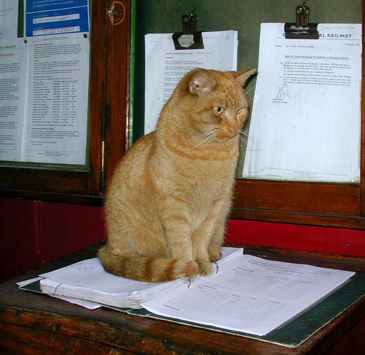 Station Master's office - December 1999