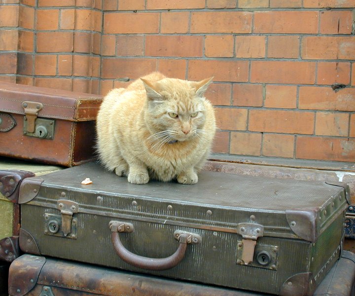 Loughborough Central Station - June 2000