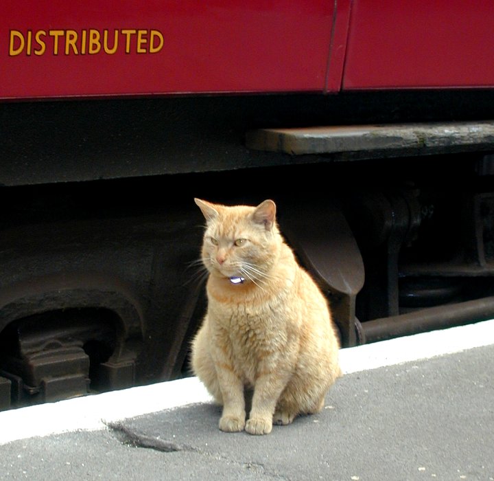 Griddle Car - June 2000