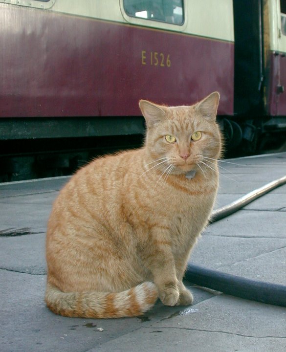 Restaurant Car (RKB) - December 2000