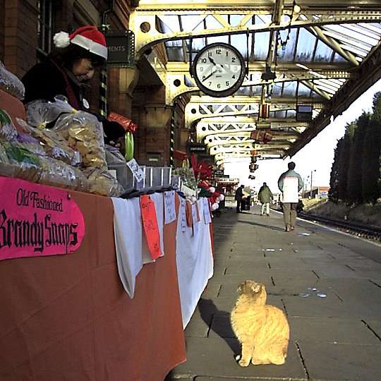 Annie's sweet stand, Loughborough - December 1999