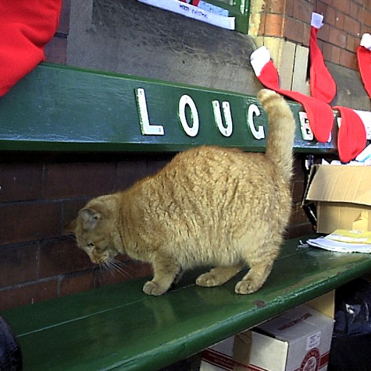 On the seat, Loughborough - December 1999