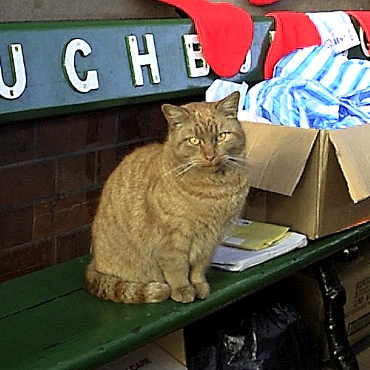 On the seat, Loughborough - December 1999