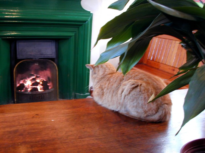 Waiting Room fire, Loughborough - December 1999