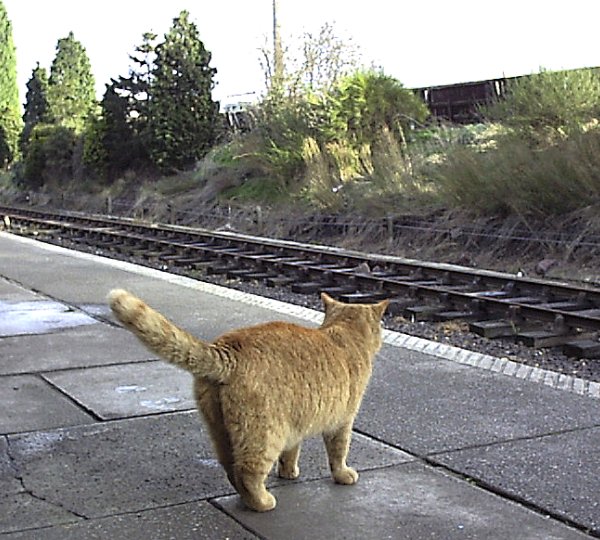 Empty platform, Loughborough - December 1999