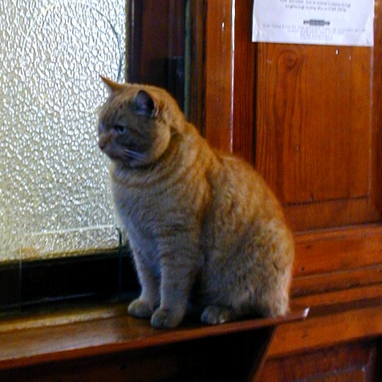 Loughborough Central Station Booking Office - December 2000.