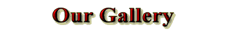 Gallery Heading